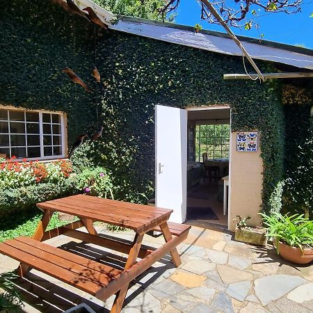 Yellowwood Cottage Himeville Ngoại thất bức ảnh
