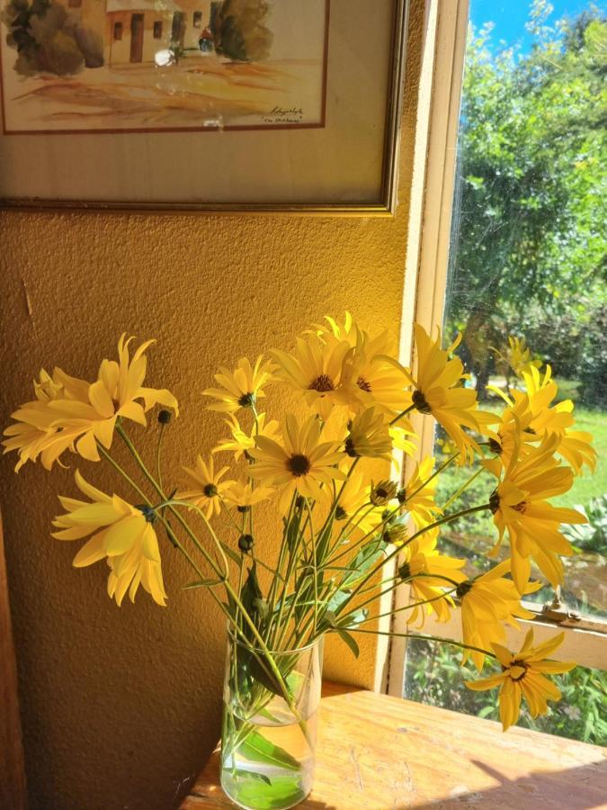 Yellowwood Cottage Himeville Ngoại thất bức ảnh