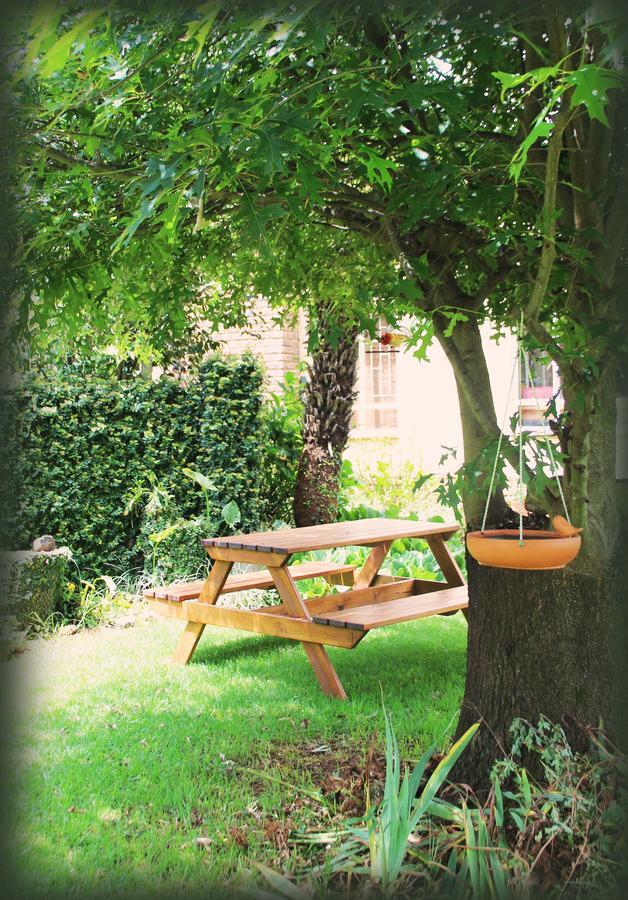 Yellowwood Cottage Himeville Ngoại thất bức ảnh